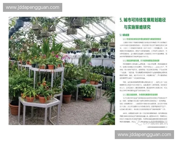 体育城市建设助力城市转型与可持续发展新路径探析 体育城市建设助力城市转型与可持续发展新路径探析